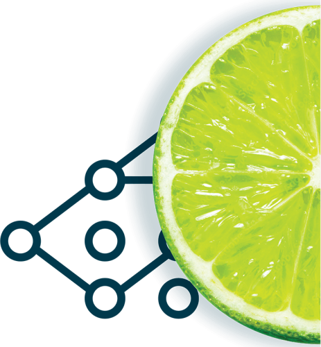 Lime and Soda Insurance Brokers_section 2 image